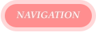 NAVIGATION